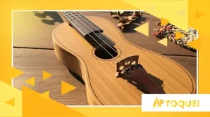 A Viola de Cocho no Pantanal: Patrimônio Cultural em Risco