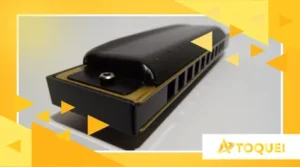 Gaita Hering 2025: Ainda é a Melhor Nacional Para Blues?