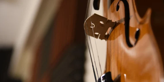 Como afinar a viola de fandango do litoral brasileiro