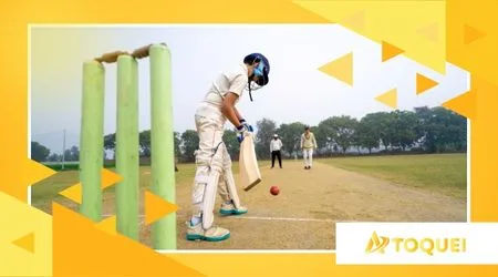 Aplicativos para assistir Cricket ao vivo: conheça as melhores opções para acompanhar os jogos